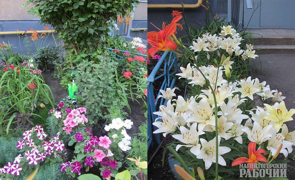 Цветочки, грибочки и аист в гнезде. В Магнитогорске соседи украшают двор растениями и забавными персонажами
