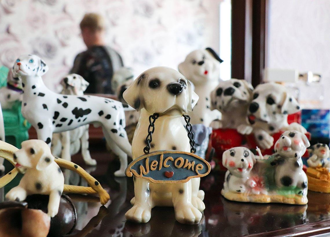 150 далматинцев Галины Дёминой. Жительница Магнитогорска более пятнадцати лет собирает статуэтки пятнистых собак