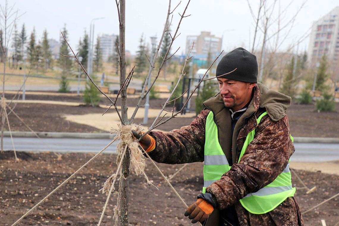 Прирастает деревьями парк. Более 700 саженцев очистят воздух у берега Урала