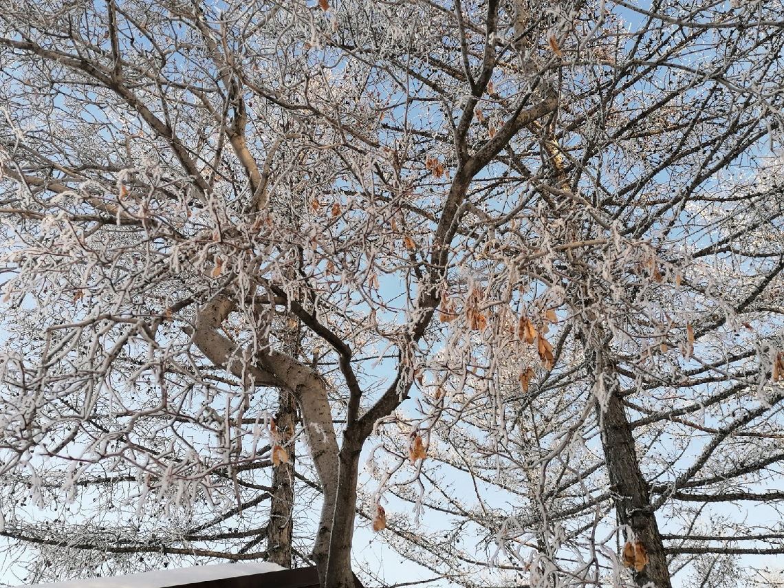 Морозное искусство. Всемирный день снега в Магнитогорске отметили яркими представлениями и весёлыми конкурсами