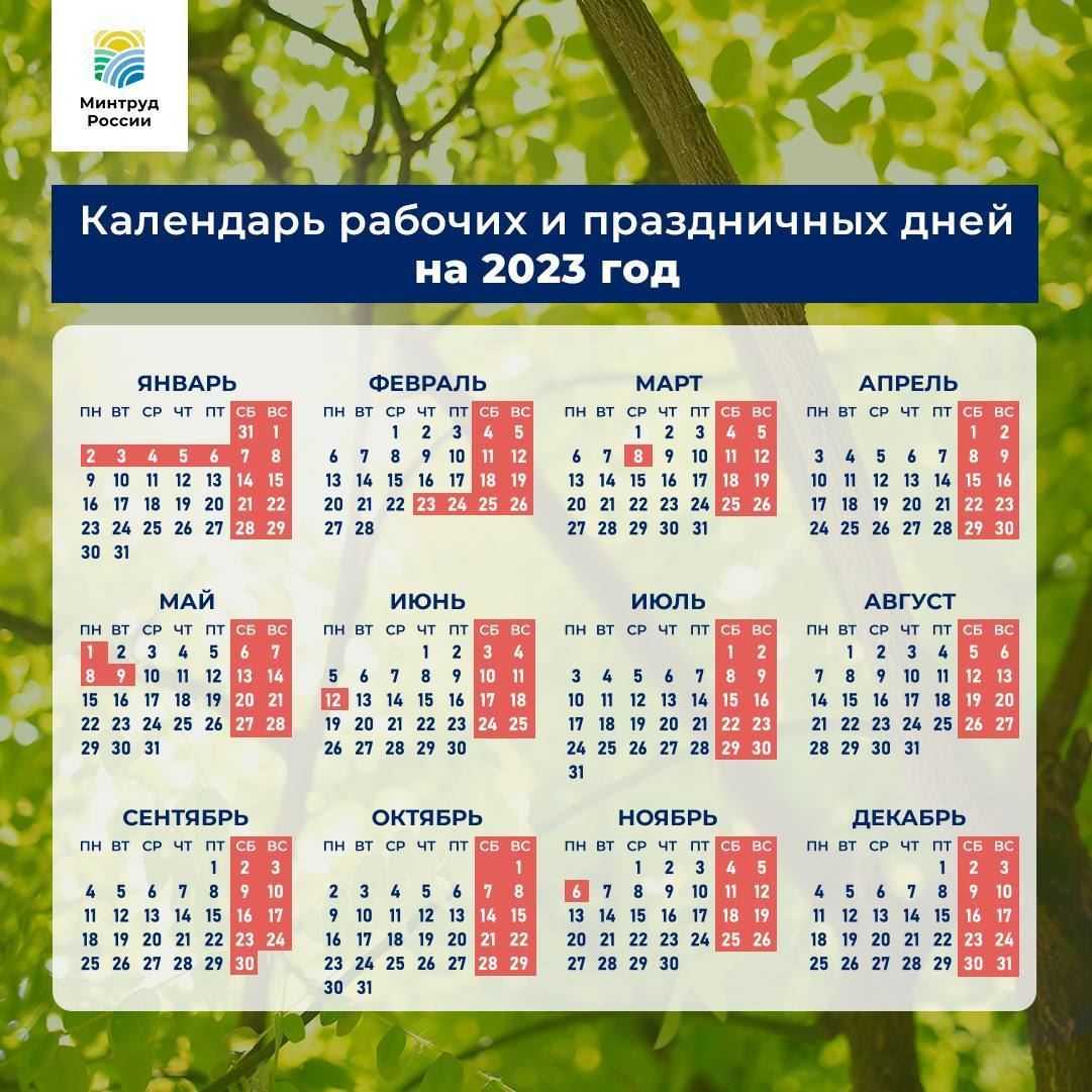 Как будут отдыхать россияне в 2023 году? Минтруд опубликовал календарь выходных