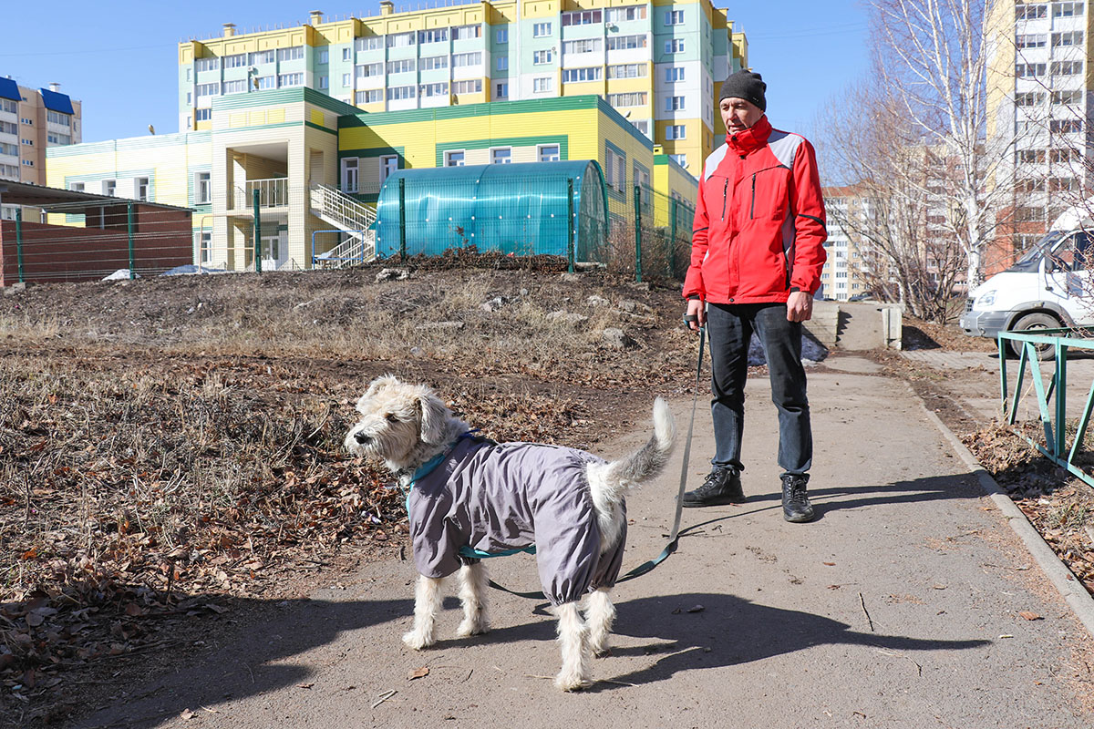 Владельцев собак в Магнитогорске просят использовать дог-боксы