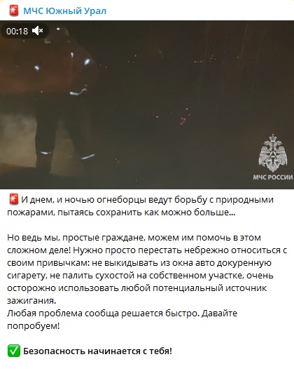 Выписаны сотни штрафов. Беспилотники находят поджигателей травы в пожароопасный период в Челябинской области