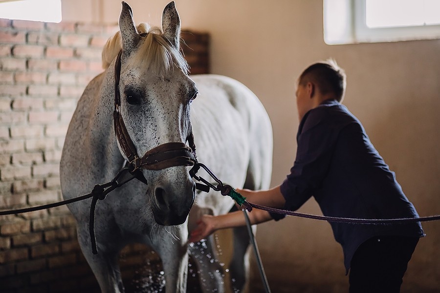 Конь как ключ к сердцу. В Магнитогорске дети с серьезными недугами учатся конной езде
