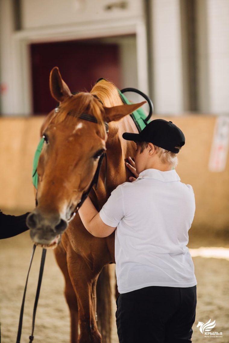 Конь как ключ к сердцу. В Магнитогорске дети с серьезными недугами учатся конной езде