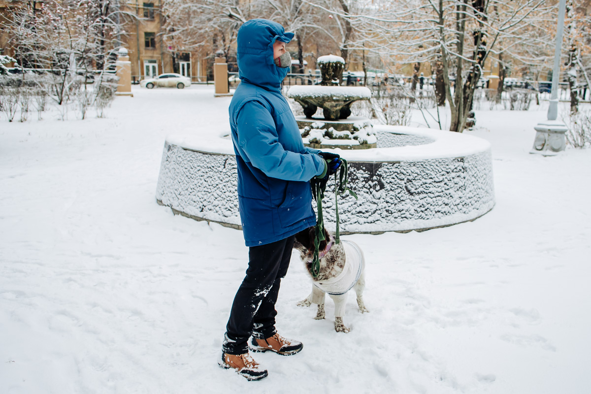 Владельцы собак в Магнитогорске рублем отвечают за своих домашних животных