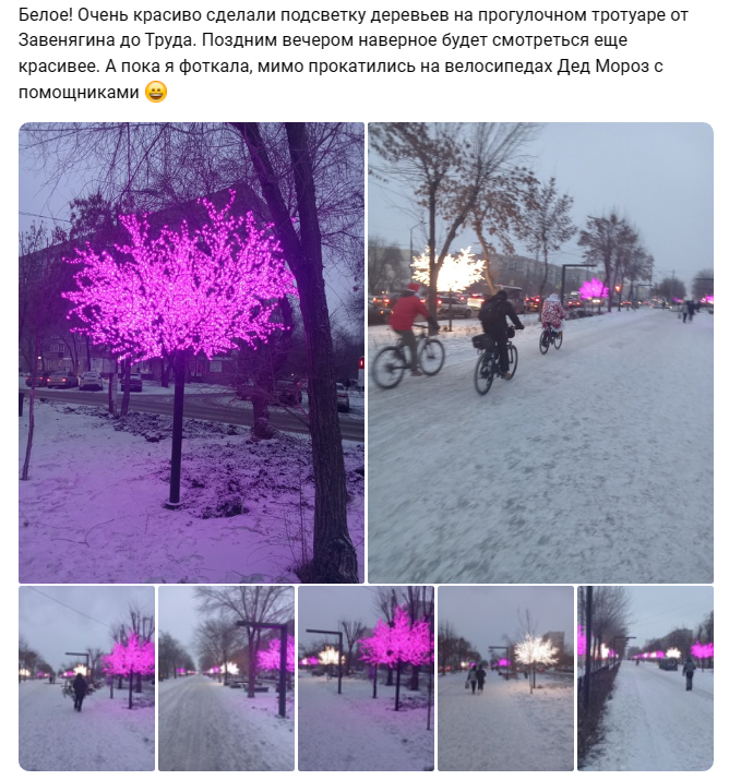 В Магнитогорске светящиеся деревья украсили улицы города
